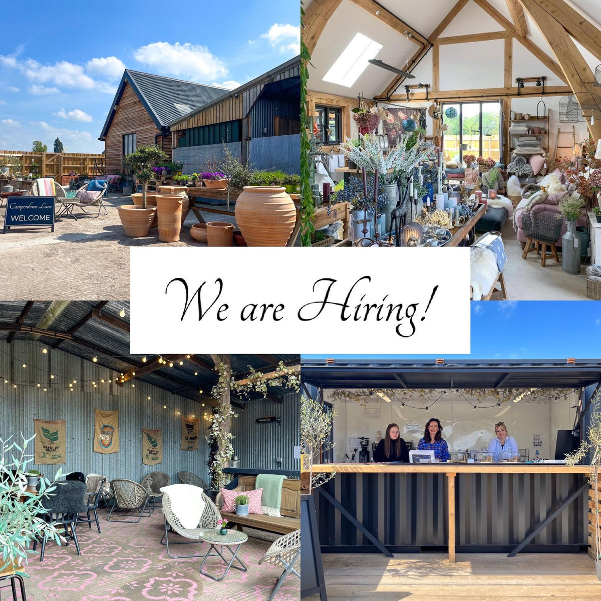 We Are Hiring! Camperdown Lane