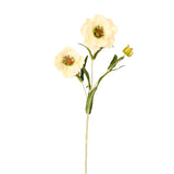 Layered Poppy Stem - Cream