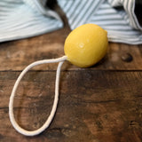 Handmade Artisanal Lemon Soap on a Rope