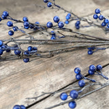 Close-up of blueberry clusters on frosted twigs