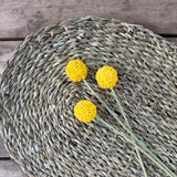 Billy Buttons Faux Stems - 3 bunch