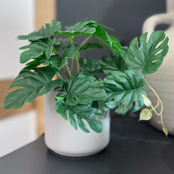 Potted Faux Mini Swiss Cheese Plant