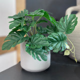 Potted Faux Mini Swiss Cheese Plant