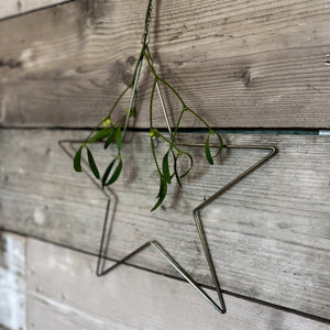 Brass Metal Star Large