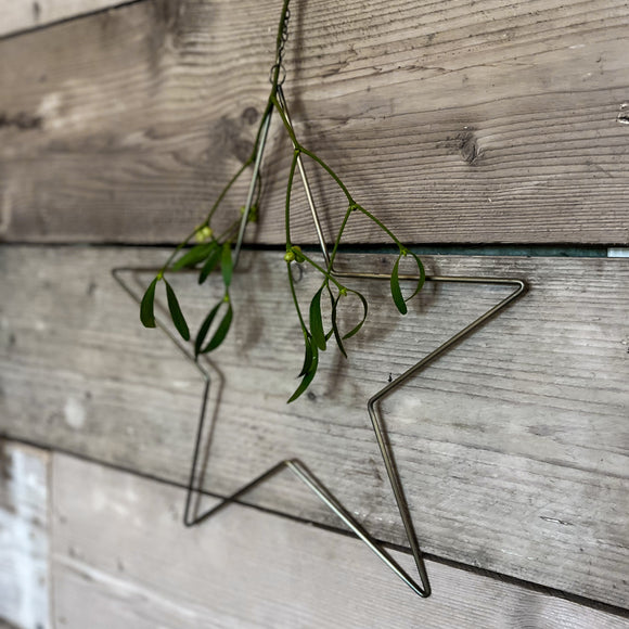 Brass Metal Star Large