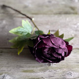 Dried Touch Closed Peony - Aubergine