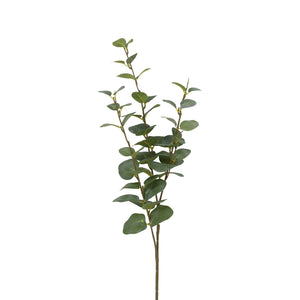 Small Eucalyptus Stem