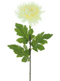 Spikey Mum Flower - Ivory