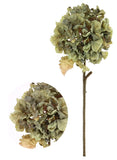 Dried Touch Ruffled Hydrangea - Green