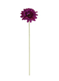 Gerbera Stem - Magenta