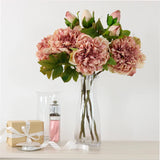 Dried Touch Open Peony - Nude & Pink