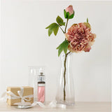Dried Touch Open Peony - Nude & Pink