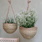 Wicker Hanging Basket