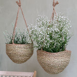 Wicker Hanging Basket