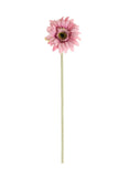 Gerbera Stem - Dusky Pink