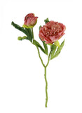 Dried Touch Ruffled Peony - Blush Pink