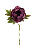 Dried Touch Closed Peony - Aubergine