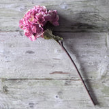 Dried Touch Ruffled Hydrangea - Dusty Pink