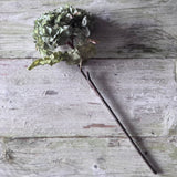 Dried Touch Ruffled Hydrangea - Green