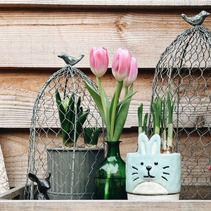 Bird Top Wire Garden Cloche 33cm