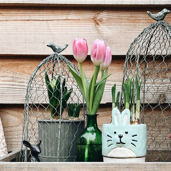 Bird Top Wire Garden Cloche 33cm