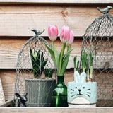 Bird Top Wire Garden Cloche 33cm