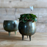 Antiqued Green Iron Pot - Small