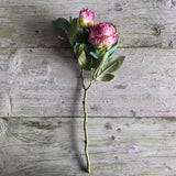 Dried Touch Ruffled Peony - Blush Pink