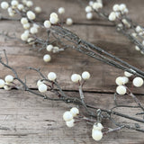 Close-up of cream berry clusters on frosted twig stems