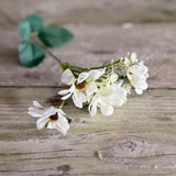 Long Stem Daisy Sprig