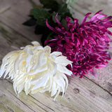 Spikey Mum Flower - Ivory