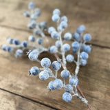 Frosted blueberry clusters with a sugared winter finish