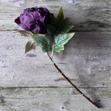 Dried Touch Closed Peony - Aubergine