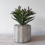 Faux Peperomia Plant Succulent