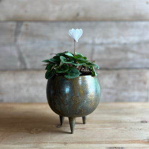 Antiqued Green Iron Pot - Small