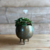 Antiqued Green Iron Pot - Small