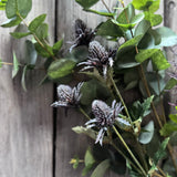 Thistle Stem