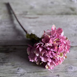 Dried Touch Ruffled Hydrangea - Dusty Pink