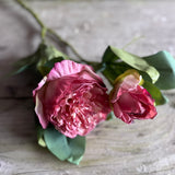 Dried Touch Ruffled Peony - Blush Pink
