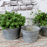 Zinc Flower Pot with Handle Medium