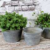 Zinc Flower Pot with Handle Large