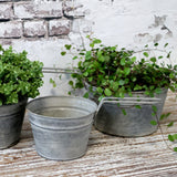 Zinc Flower Pot with Handle Large