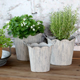 Zinc Ribbed Planters with Handles