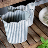 Zinc Ribbed Planters with Handles