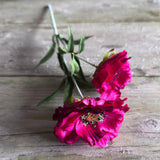 Layered Poppy Stem - Hot Pink
