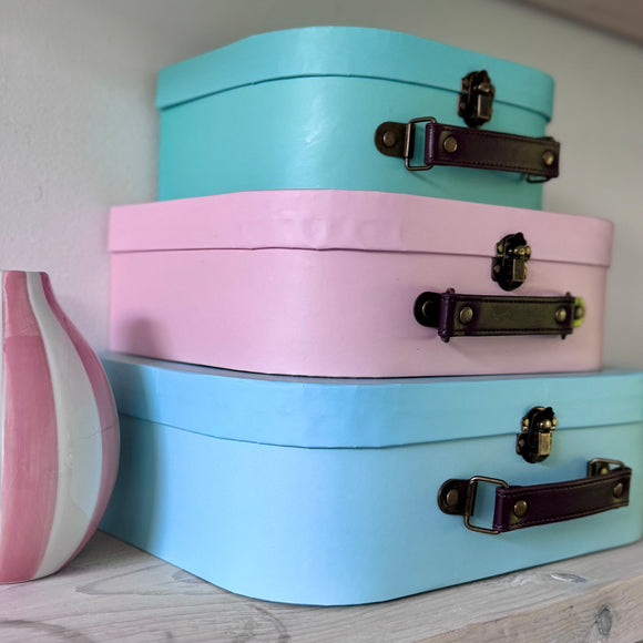 Block Colour Storage Cases