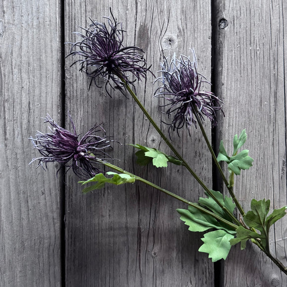 Purple Echinops Stem