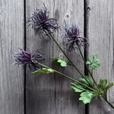 Purple Echinops Stem