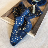 Pair of Navy Star Napkins
