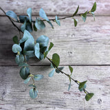 Small Eucalyptus Stem